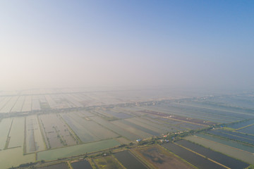 Aerial view of saline plantation field in morning