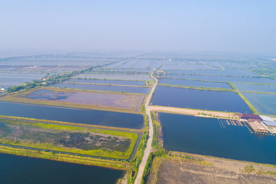 Aerial view of saline plantation field in morning
