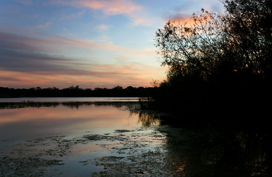 Inside Secret Lake park at sunset in Casselberry Florida