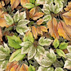 Maple leaves in a watercolor style. Seamless background pattern. Fabric wallpaper print texture. Aquarelle leaf for background, texture, wrapper pattern, frame or border.