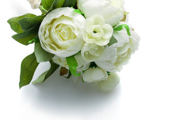 peony flowers isolated on white