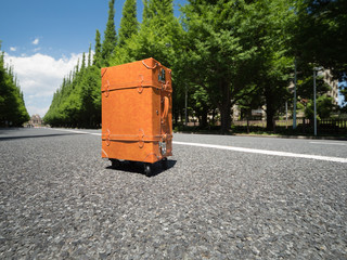 神宮外苑の銀杏並木
