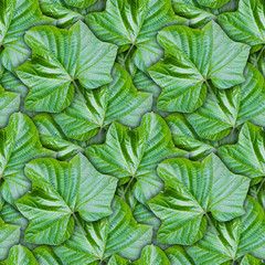 Seamless background from green leaves
