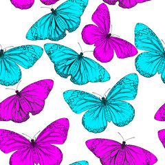 Colorful seamless background from butterfly