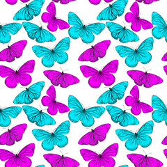 Colorful seamless background from butterfly