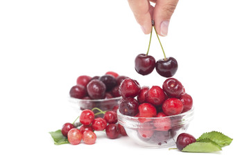 Cherries. Cherry. Cherries in glass bowl Hand Holding Red Cherry. Fresh cherries. Cherry on white background. healthy food concept