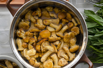Making homemade mushroom soup