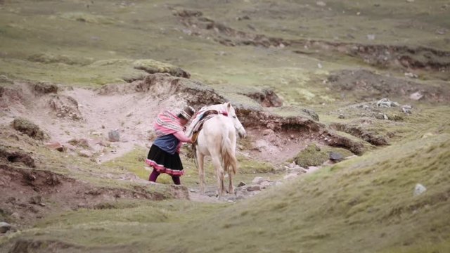 Quechua woman adjusting saddle straps in the Andean mountain range. Woman wearing her traditional Peruvian costume