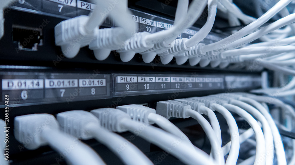 Poster network cables connected to switch - closeup of data center hardware.