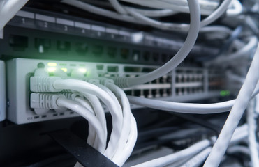 Network cables connected to switch - closeup of data center hardware. 