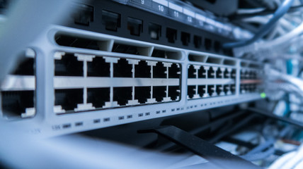 Network cables connected to switch - closeup of data center hardware. 