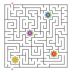 A square labyrinth. Collect all the flowers and find a way out of the maze. Simple flat isolated vector illustration.