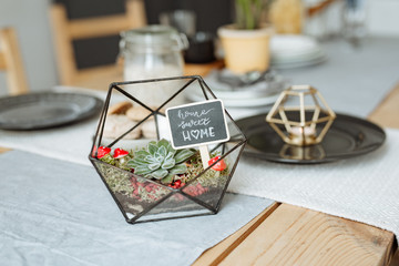 Florarium with live plants on the kitchen table on the background of a beautifully decorated table.