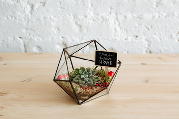 Florarium with live plants on a wooden table against a white wall.