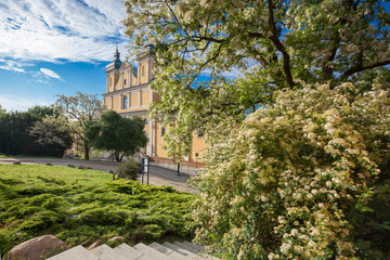 Fototapeta na wymiar Poznan city center view to Cathedral