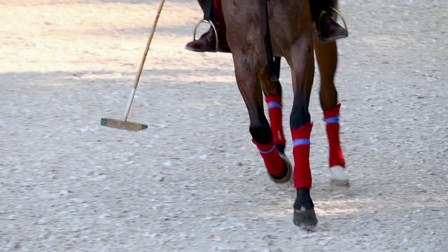 Low section horses and players during polo match with mallet and ball, slow motion