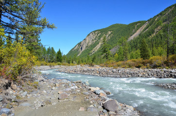 Russia, Altai Republic, river Karakabak