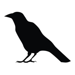 A black and white silhouette of a crow