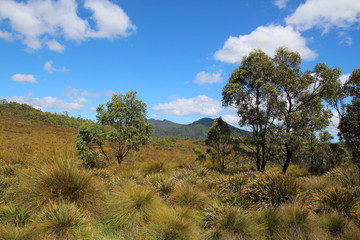 Fototapeta premium Tasmanien-Landschaft 