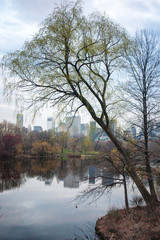 Fototapeta na wymiar Central Park Autumn and midtown skyline over lake in Manhattan New York City on a cloudy day