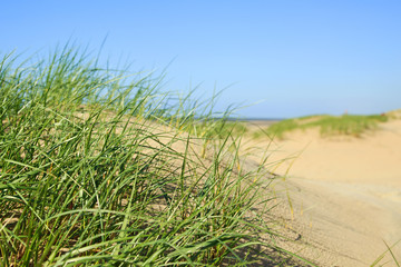 D&uuml;nen an der Nordsee