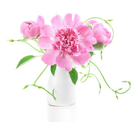Peony flowers in white vase isolated on white