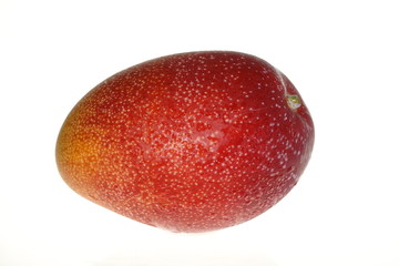 マンゴー　宮崎県産　太陽のたまご　白抜き