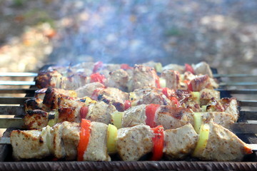 Pieces of juicy slices of marinated pork meat strung on skewers with slices of chopped tomatoes and onion cooking on the grill. Cooking shashlik on the brazier Close-up.