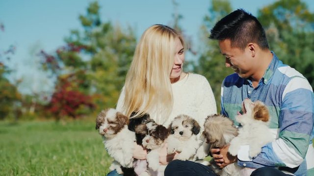 Have fun with the puppies. Young couple holding many puppies in their hands