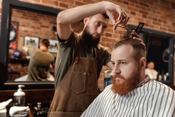 Barber and bearded man in barber shop
