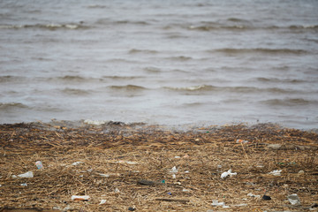 River bank with dry grass and plants and lot of litter that needs to be picked up