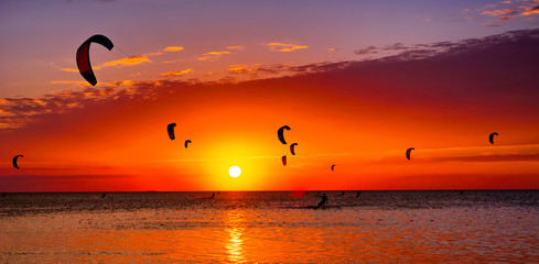 Kite-surfing against a beautiful sunset. Many silhouettes of kites in the sky. Holidays on nature. Artistic picture. Beauty world.