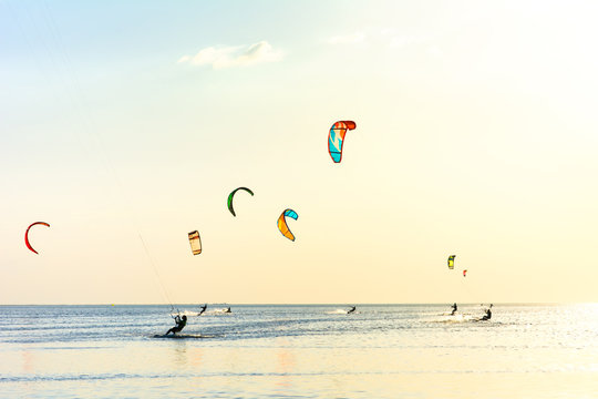 Kite-surfing and a lot of silhouettes of kites in the sky. Holidays on nature. Artistic picture. Beauty world.
