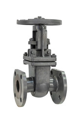 Industrial pipeline wedge gate valve with rubber wedge on a white background.