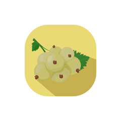 Flat design White Currant