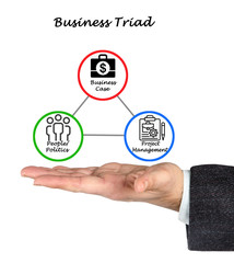 Fototapeta premium Concept of Business Triad