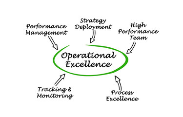  Components of Operational Excellence.