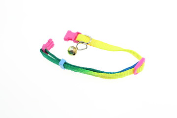 Dog collar with colorful isolated 