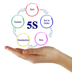 Principles of 5s