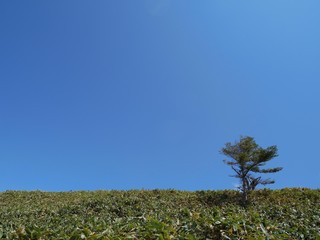 Highland view