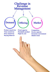 Challenge in Revenue Management.