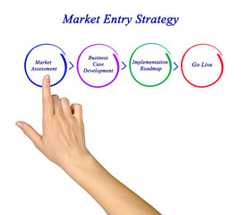 Market Entry Strategy