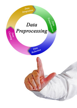 Components of Data Preprocessing.