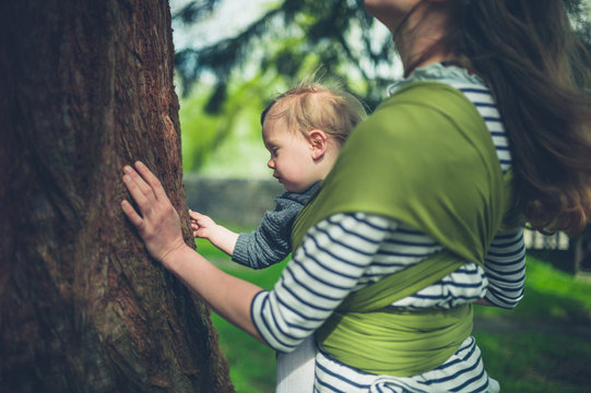 Mother and toddler touching giant redwood