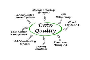 data quality support