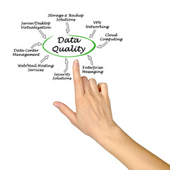 data quality support