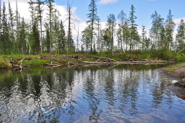 Obraz premium North river landscape.