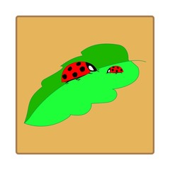 Ladybird in square