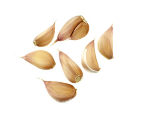 Garlic isolated 