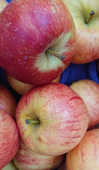 tasty fresh red apples